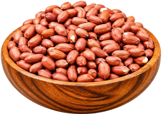 BOLD Peanuts